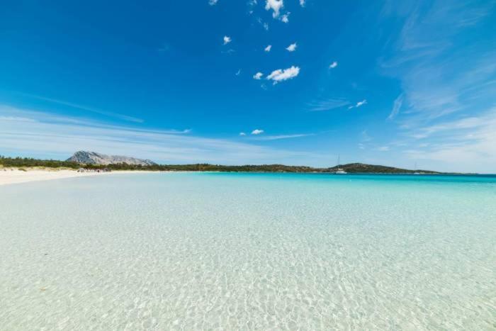 Apartmán Olbia 53-11 Cin R3659 Exteriér fotografie
